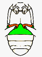 abb006.gif
