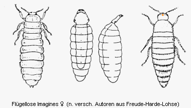 abb012.gif