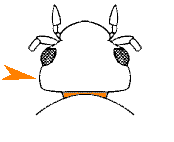 abb085.gif