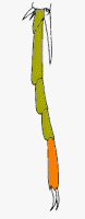 abb098.gif
