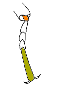 abb122.gif