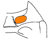 abb132.gif
