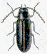 abb143.gif
