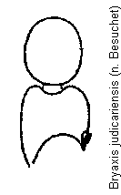 bryaxis_judicariensis_f.gif