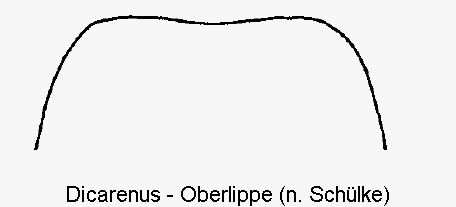 dicarenus__ol.gif
