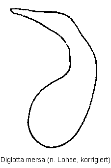 diglotta_mersa.gif