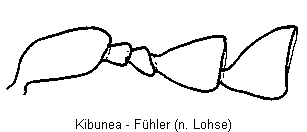 kibunea_f.gif