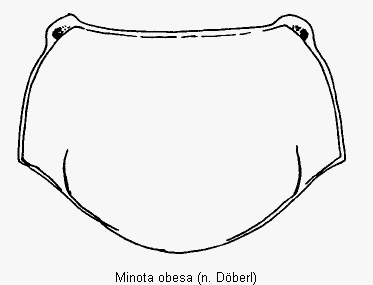 minota_obesa_hsch.gif