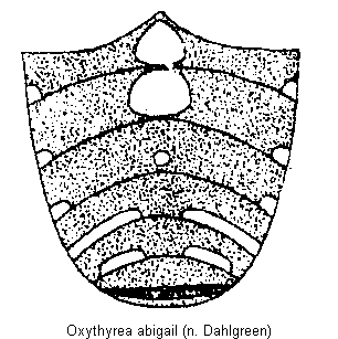 oxythyrea_abigail_us.gif