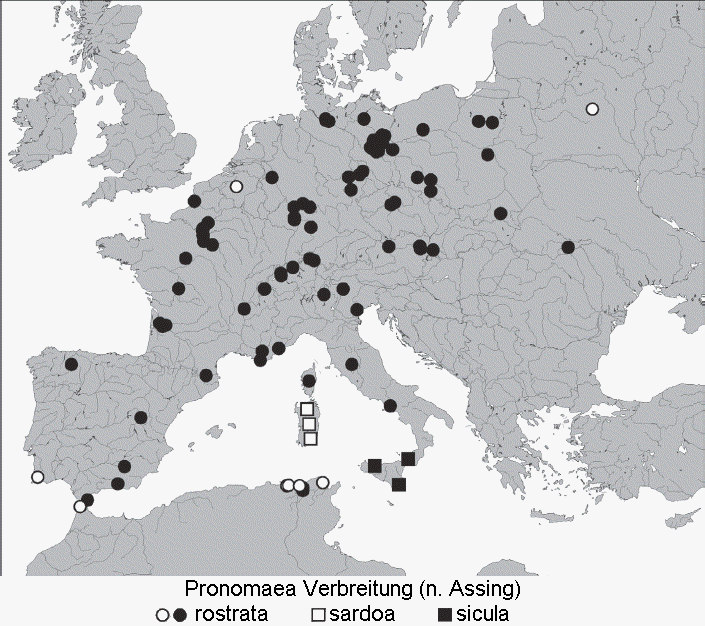 pronomaea_verbreitung1.gif