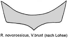 ropalodontus_novoross_vb.jpg