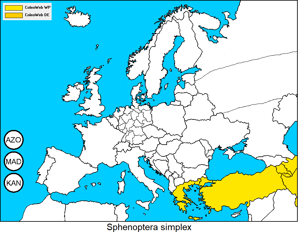 sphenoptera_simplex_dis.gif