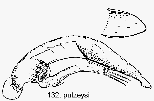 tre132.gif