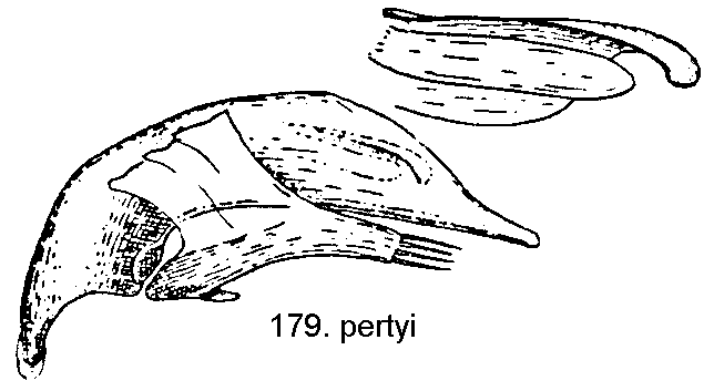 tre179.gif