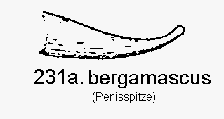 tre231_a.gif