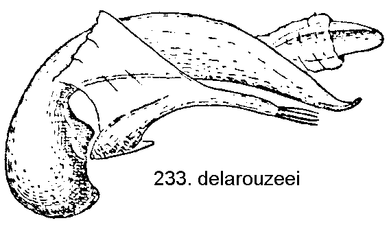 tre233.gif