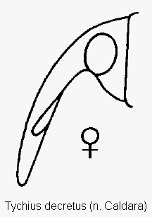 tychius_decretus_k.gif